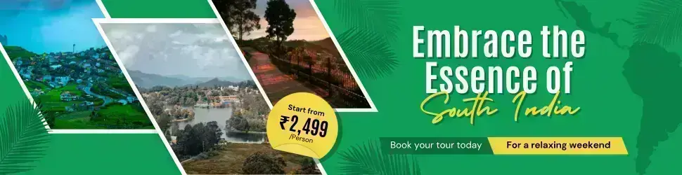 Special Weekend Offers - Limited Time Deal