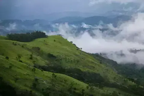 Wayanad Weekend Tour